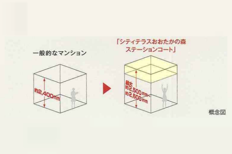 シティテラスおおたかの森ステーションコートの天井高